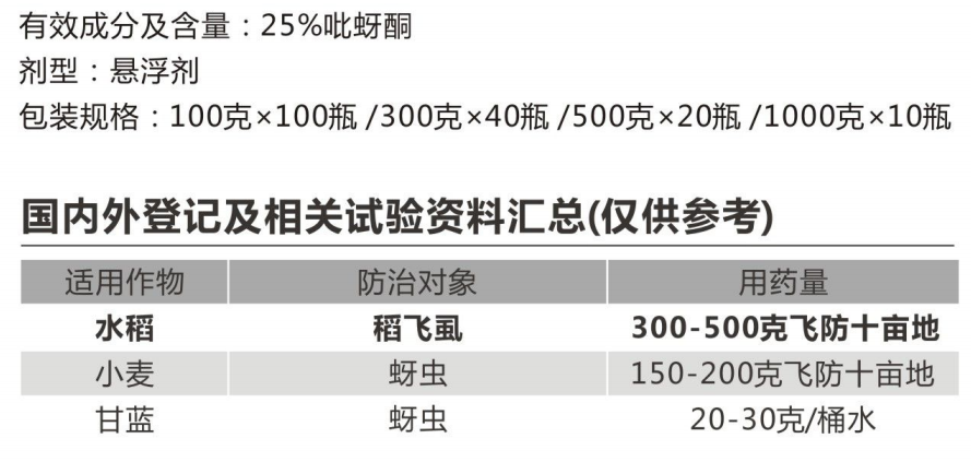 巧至樂(lè)