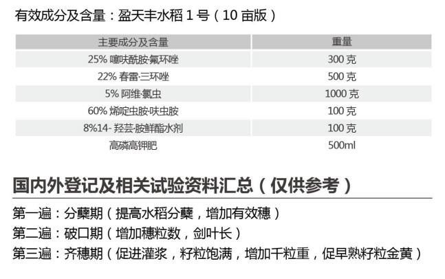 盈天豐水稻1號(hào)